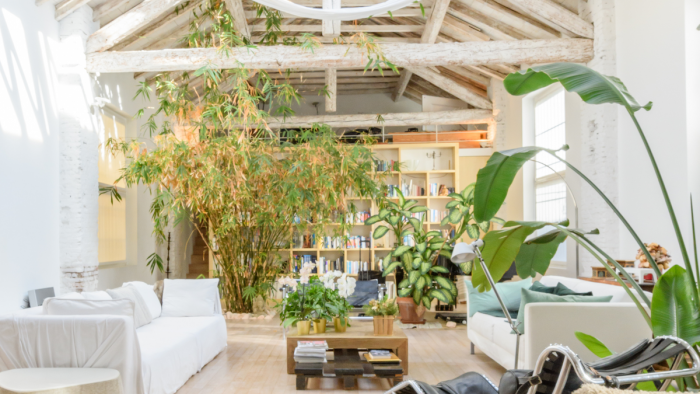 Villa con tanta luce naturale - Cacao